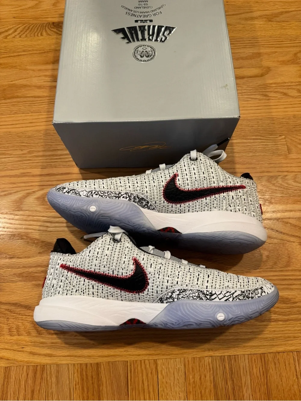 Nike LeBron XX Men’s Size 11